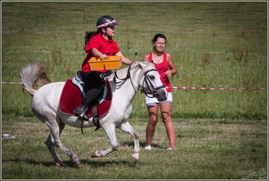 Mounted Games 316